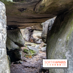 Randonnée à Fontainebleau : le sentier sur les pas de Denecourt jusqu’à la Tour Denecourt -  A7C7597