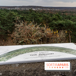 Randonnée à Fontainebleau : le sentier sur les pas de Denecourt jusqu’à la Tour Denecourt -  A7C7612