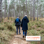 Randonnée à Fontainebleau : le sentier sur les pas de Denecourt jusqu’à la Tour Denecourt