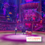 Spectaculaire - Cirque d'hiver