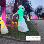 Exposition Silva Lumina au Centre Culturel Irlandais