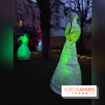 Exposition Silva Lumina au Centre Culturel Irlandais