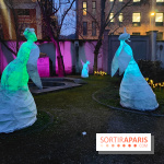 Exposition Silva Lumina au Centre Culturel Irlandais