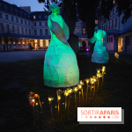 Exposition Silva Lumina au Centre Culturel Irlandais