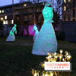 Exposition Silva Lumina au Centre Culturel Irlandais  - Silva Lumina 4 fotor 2025020691744