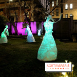 Exposition Silva Lumina au Centre Culturel Irlandais  - Silva Lumina 11