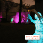 Exposition Silva Lumina au Centre Culturel Irlandais  - Silva Lumina 13
