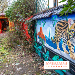 Colors Festival 2025 à Champigny spécial Amérique Latine -  A7C1258