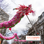 Défilé du Nouvel an Lunaire - Chinois 2025 Paris 13e - les photos