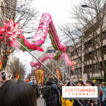 Défilé du Nouvel an Lunaire - Chinois 2025 Paris 13e - les photos
