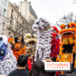Défilé du Nouvel an Lunaire - Chinois 2025 Paris 13e - les photos