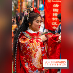 Défilé du Nouvel an Lunaire - Chinois 2025 Paris 13e - les photos