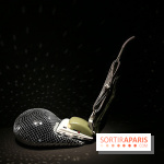 Exposition Disco à la Philharmonie de Paris, nos photos - Expo Disco 12 fotor 2025021312423