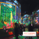 Le Douanier Rousseau, au pays des rêves : l'exposition immersive de l'Atelier des Lumières - photos