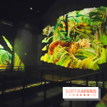 Le Douanier Rousseau, au pays des rêves : l'exposition immersive de l'Atelier des Lumières - photos