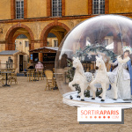 Le Château de Dampierre se transforme en station d'hiver pour les vacances de février -  A7C2236