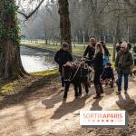 Le Château de Dampierre se transforme en station d'hiver pour les vacances de février -  A7C2271