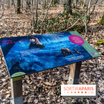 Balade sentier : Conte de Mélida, l'esprit de la forêt en forêt de Méridon (78)