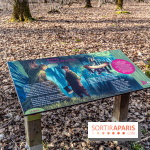 Balade sentier : Conte de Mélida, l'esprit de la forêt en forêt de Méridon (78) - A7C02312