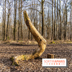 Balade sentier : Conte de Mélida, l'esprit de la forêt en forêt de Méridon (78)