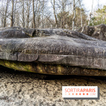 Balade sentier : Conte de Mélida, l'esprit de la forêt en forêt de Méridon (78) - A7C02326