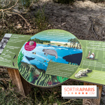 Balade sentier : Conte de Mélida, l'esprit de la forêt en forêt de Méridon (78) - A7C02327