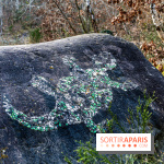 Balade sentier : Conte de Mélida, l'esprit de la forêt en forêt de Méridon (78) - A7C02328