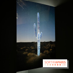 Paysages mouvants
