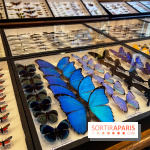 Deyrolle, l'incroyable cabinet de curiosités à Paris - nos photos