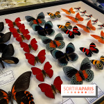 Deyrolle, l'incroyable cabinet de curiosités à Paris - nos photos