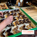 Deyrolle, l'incroyable cabinet de curiosités à Paris - nos photos - image00055