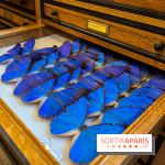 Deyrolle, l'incroyable cabinet de curiosités à Paris - nos photos
