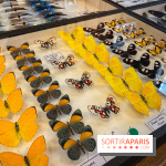 Deyrolle, l'incroyable cabinet de curiosités à Paris - nos photos - image00049