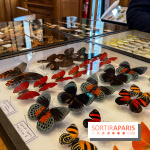 Deyrolle, l'incroyable cabinet de curiosités à Paris - nos photos