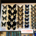 Deyrolle, l'incroyable cabinet de curiosités à Paris - nos photos