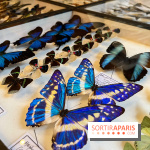 Deyrolle, l'incroyable cabinet de curiosités à Paris - nos photos