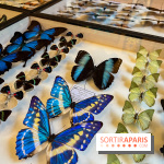Deyrolle, l'incroyable cabinet de curiosités à Paris - nos photos