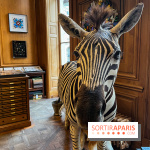 Deyrolle, l'incroyable cabinet de curiosités à Paris - nos photos