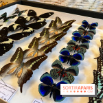 Deyrolle, l'incroyable cabinet de curiosités à Paris - nos photos