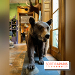 Deyrolle, l'incroyable cabinet de curiosités à Paris - nos photos