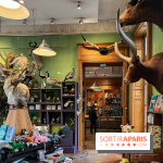 Deyrolle, l'incroyable cabinet de curiosités à Paris - nos photos