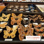 Deyrolle, l'incroyable cabinet de curiosités à Paris - nos photos
