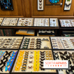 Deyrolle, l'incroyable cabinet de curiosités à Paris - nos photos