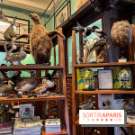 Deyrolle, l'incroyable cabinet de curiosités à Paris - nos photos