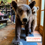 Deyrolle, l'incroyable cabinet de curiosités à Paris - nos photos