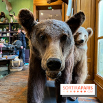 Deyrolle, l'incroyable cabinet de curiosités à Paris - nos photos