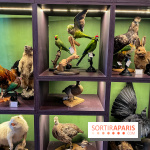 Deyrolle, l'incroyable cabinet de curiosités à Paris - nos photos