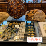 Deyrolle, l'incroyable cabinet de curiosités à Paris - nos photos