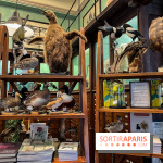 Deyrolle, l'incroyable cabinet de curiosités à Paris - nos photos