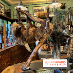 Deyrolle, l'incroyable cabinet de curiosités à Paris - nos photos